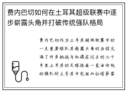 费内巴切如何在土耳其超级联赛中逐步崭露头角并打破传统强队格局